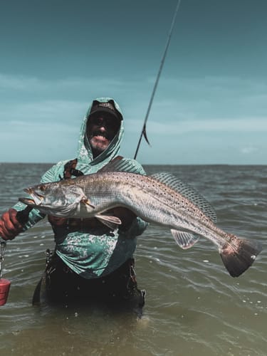 Reviewer standing in the water holding a large speckled trout caught using Osprey Monofilament Leader Material.