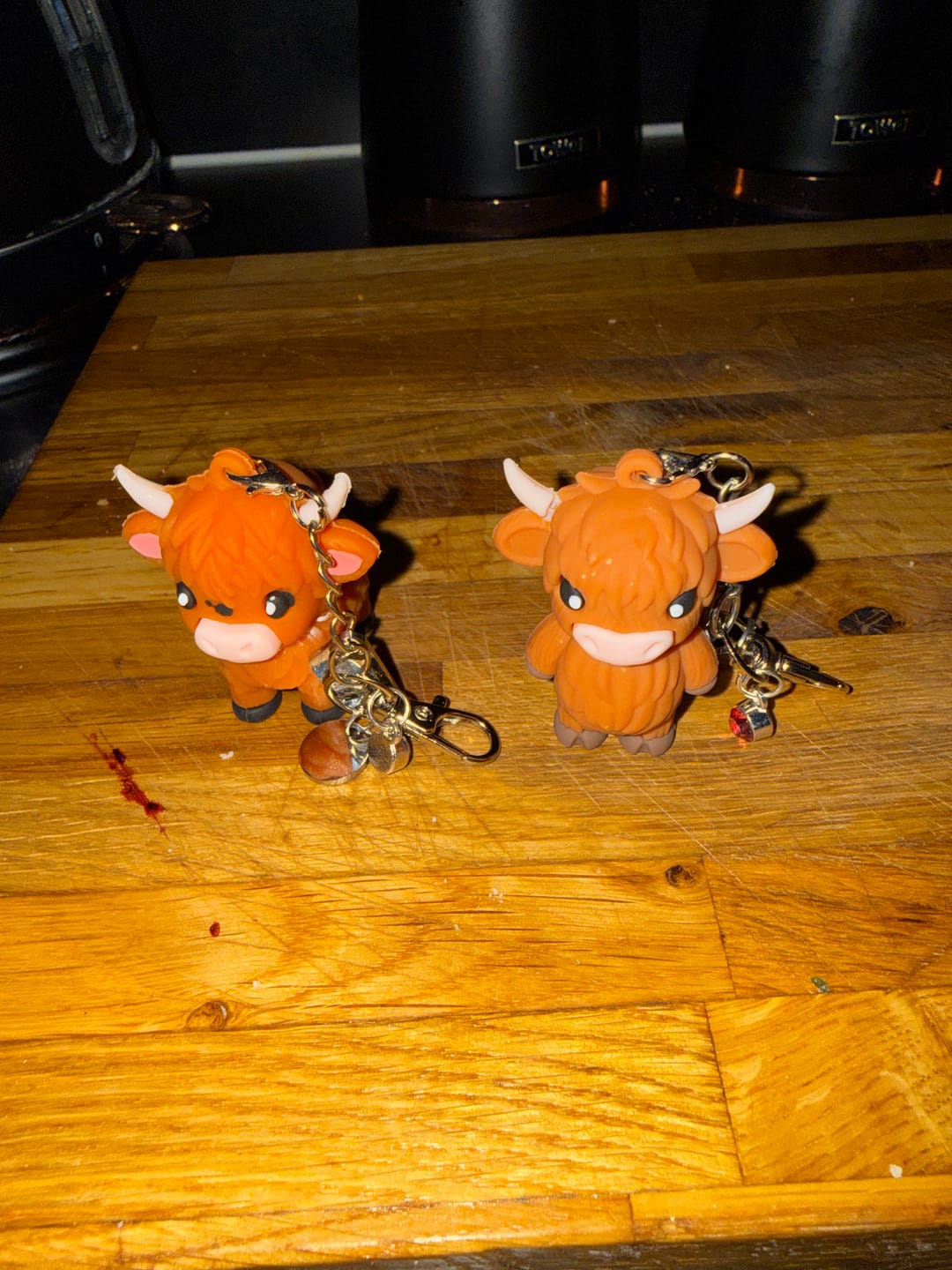 Customer photo review of 🐮A Little Highland Cow For You Keychain: Your Daily Reminder of Quiet Strength