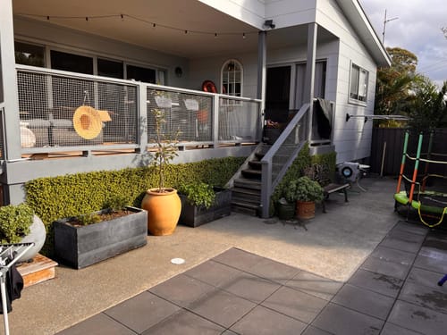 Customer photo review of Natural Buxus Artificial Hedge Panel 1m x 1m – SGS UV Resistant