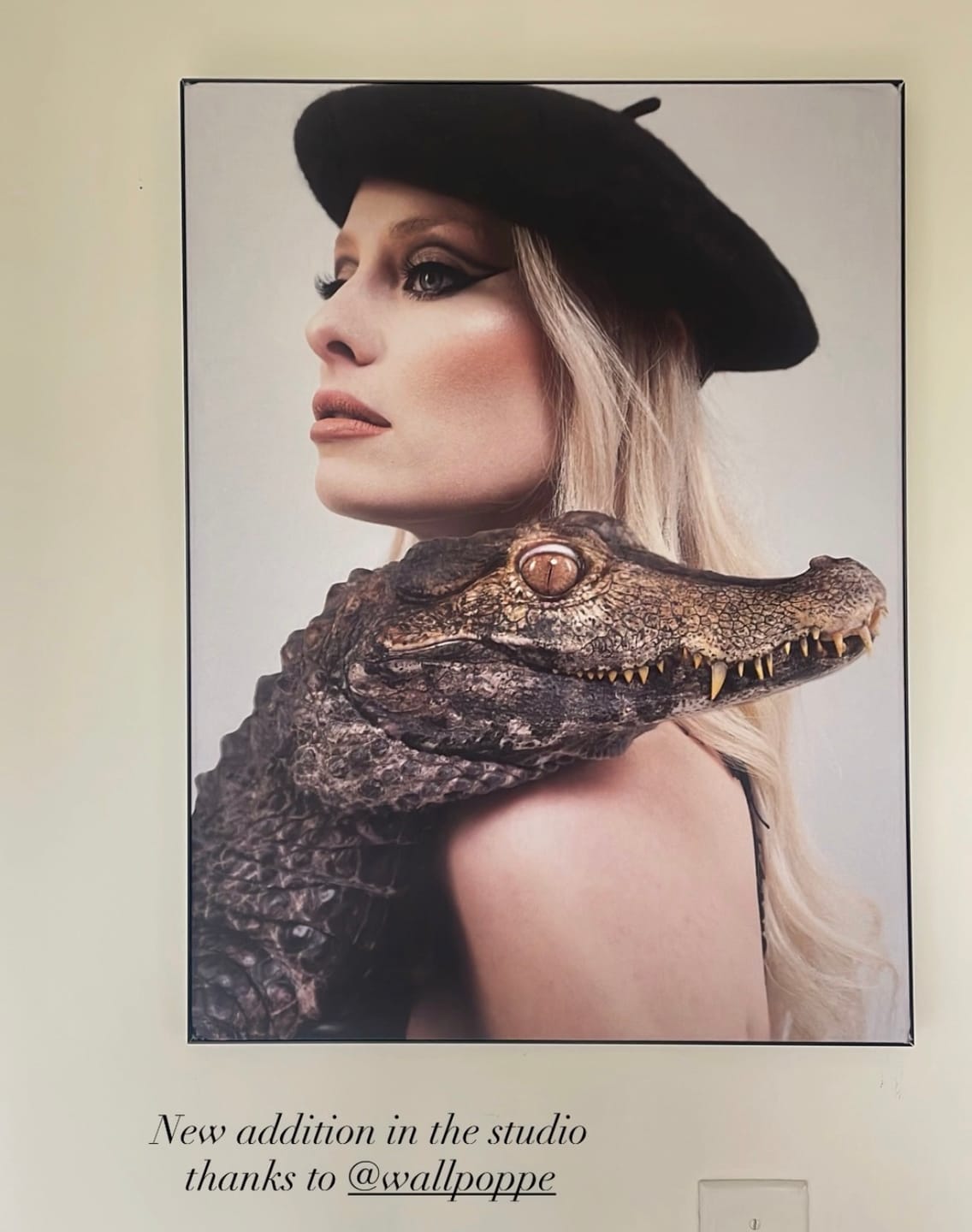 Customer photo review of Wallpoppe