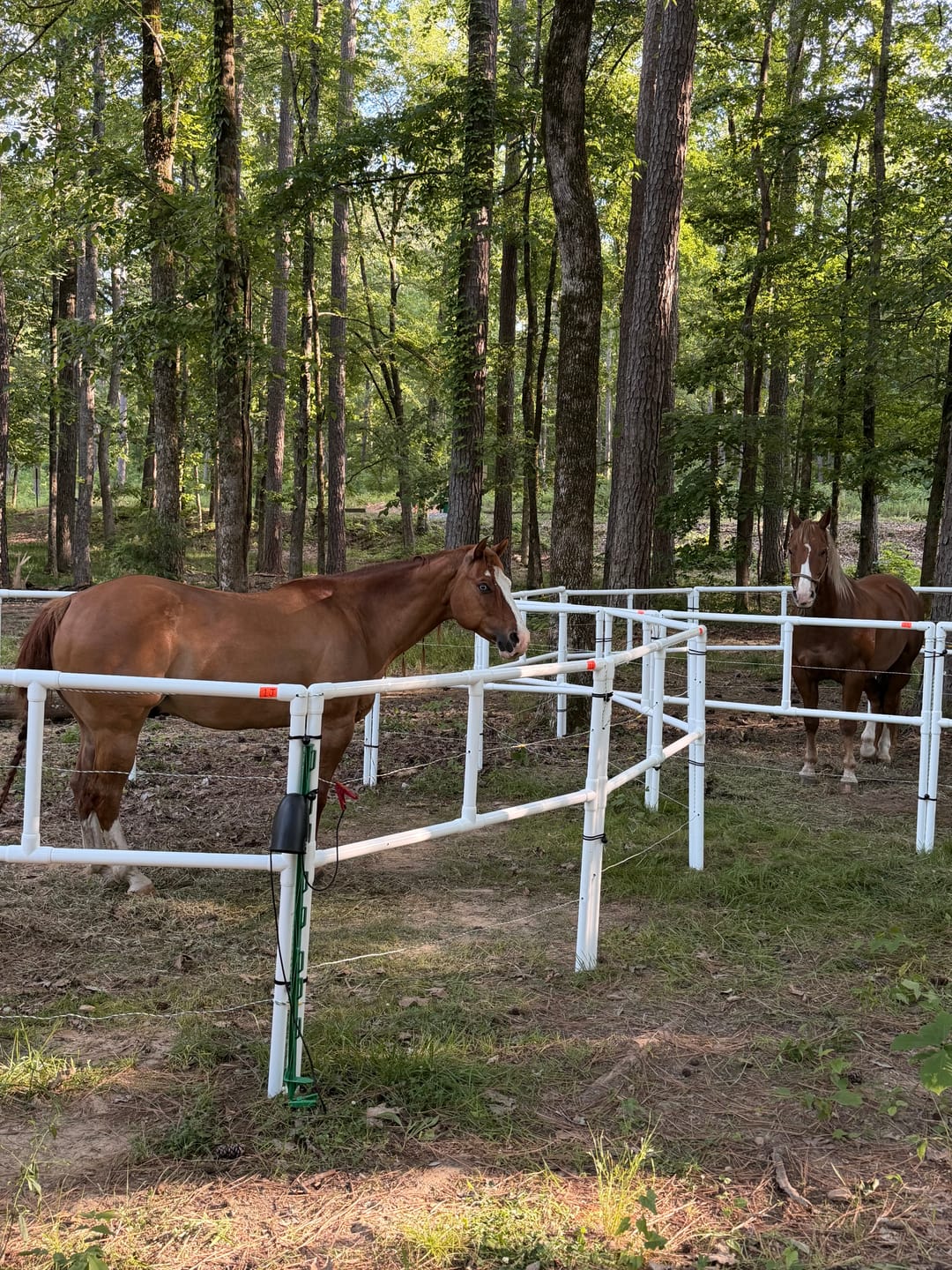 Customer photo review of Heavy-Duty Electric Ready-Made Corral (10 Panels; 2 Rails)
