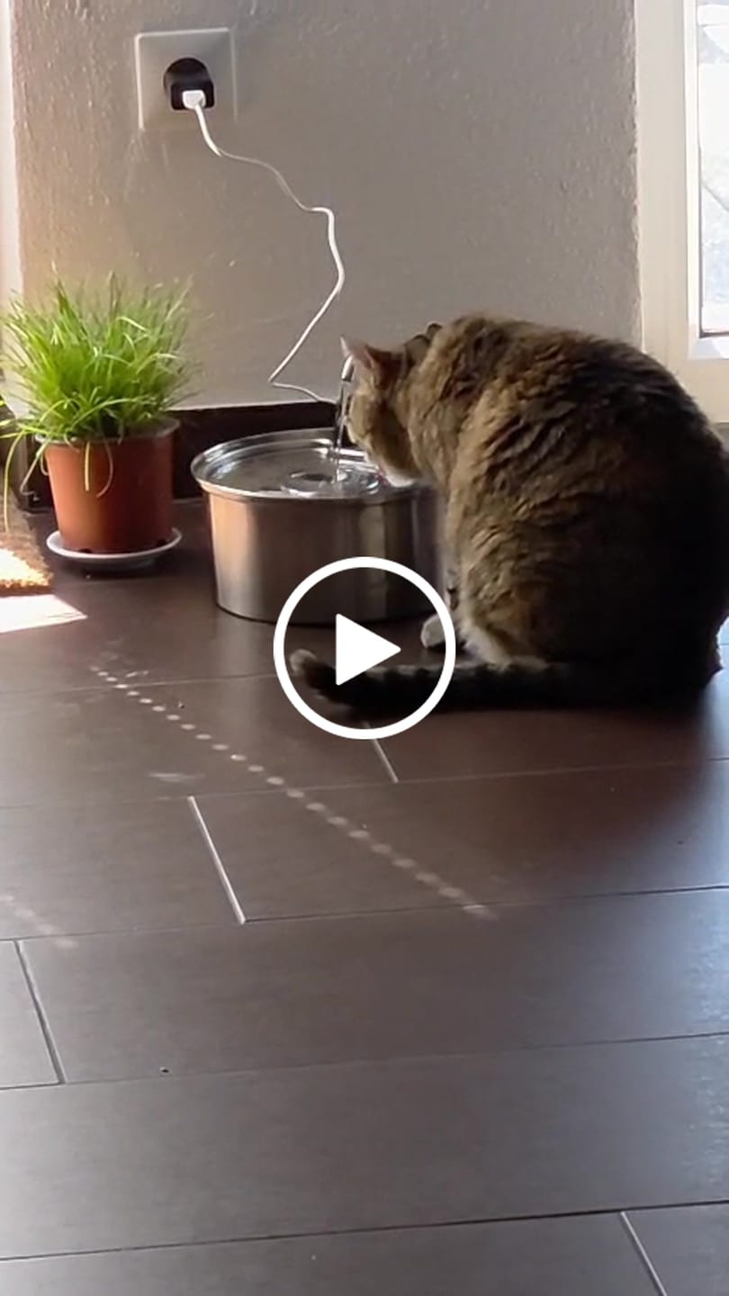 Customer video review of NordFlow 2.0 Katzenbrunnen