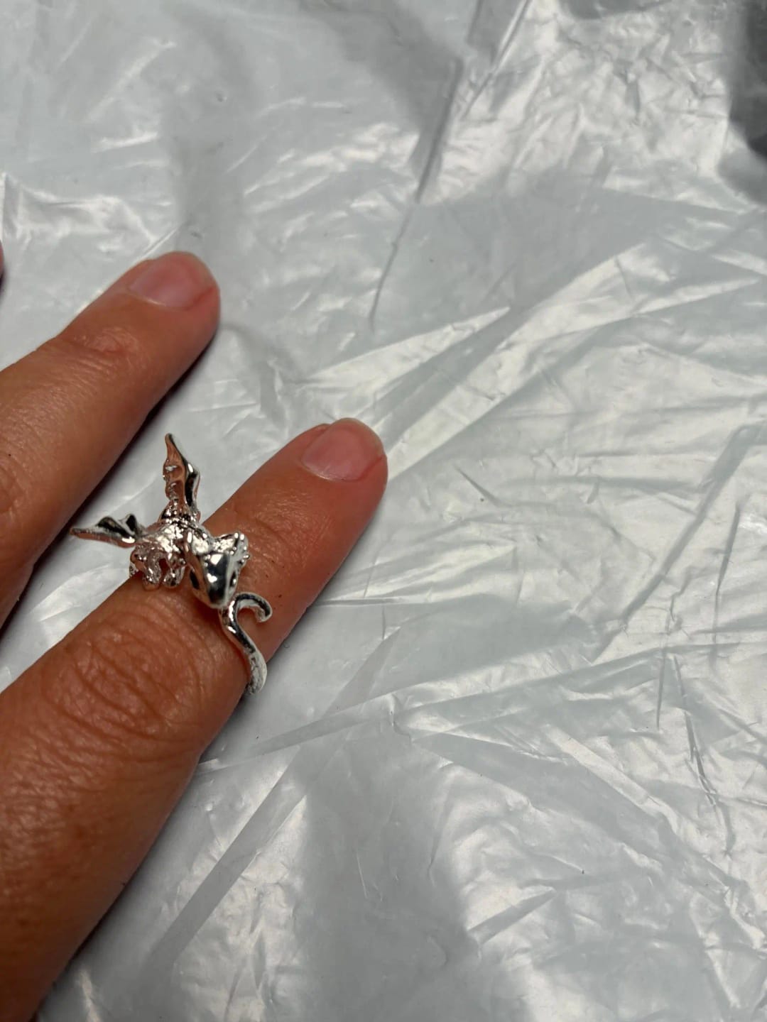 Customer photo review of Adjustable Toothless & Light Fury Ring