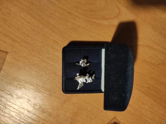 Customer photo review of Adjustable Toothless & Light Fury Ring