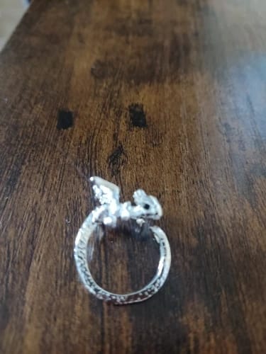 Customer photo review of Adjustable Toothless & Light Fury Ring