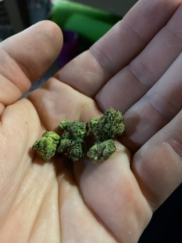 Berry Gelato - 28 Grams - Indica photo review