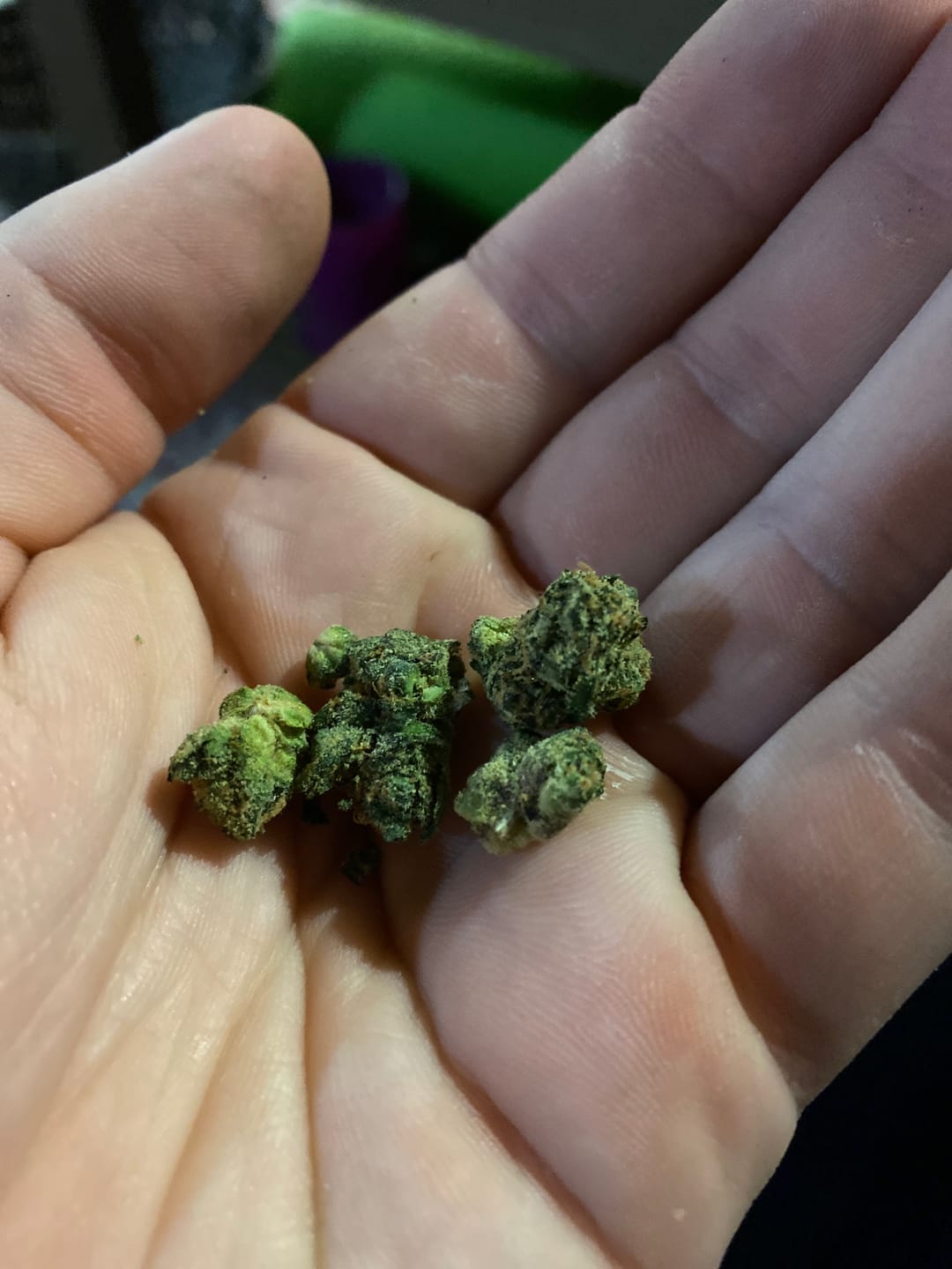 Customer photo review of Berry Gelato - 28 Grams - Indica