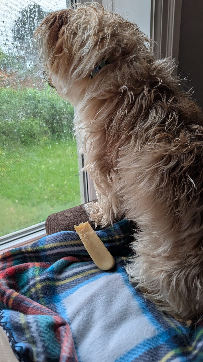 Customer photo review of Himalayan Yak Chew (SMALL)