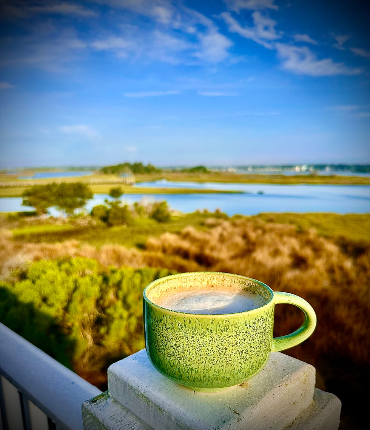 Customer photo review of Emerald Mug 16oz