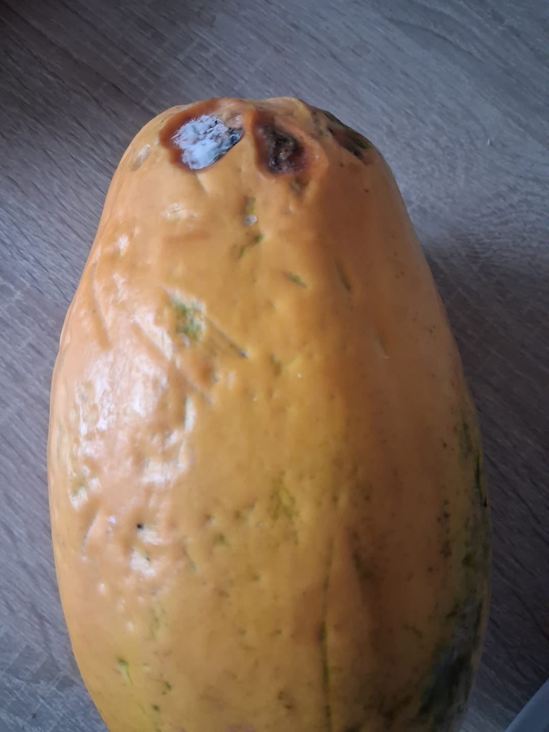 Customer photo review of Cherimoya "Campas" von Julian Aktionswoche