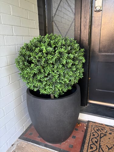 Customer photo review of 76cm UV Resistant Artificial Topiary Shrub | Compact Faux Hedyotis for Outdoor & Indoor