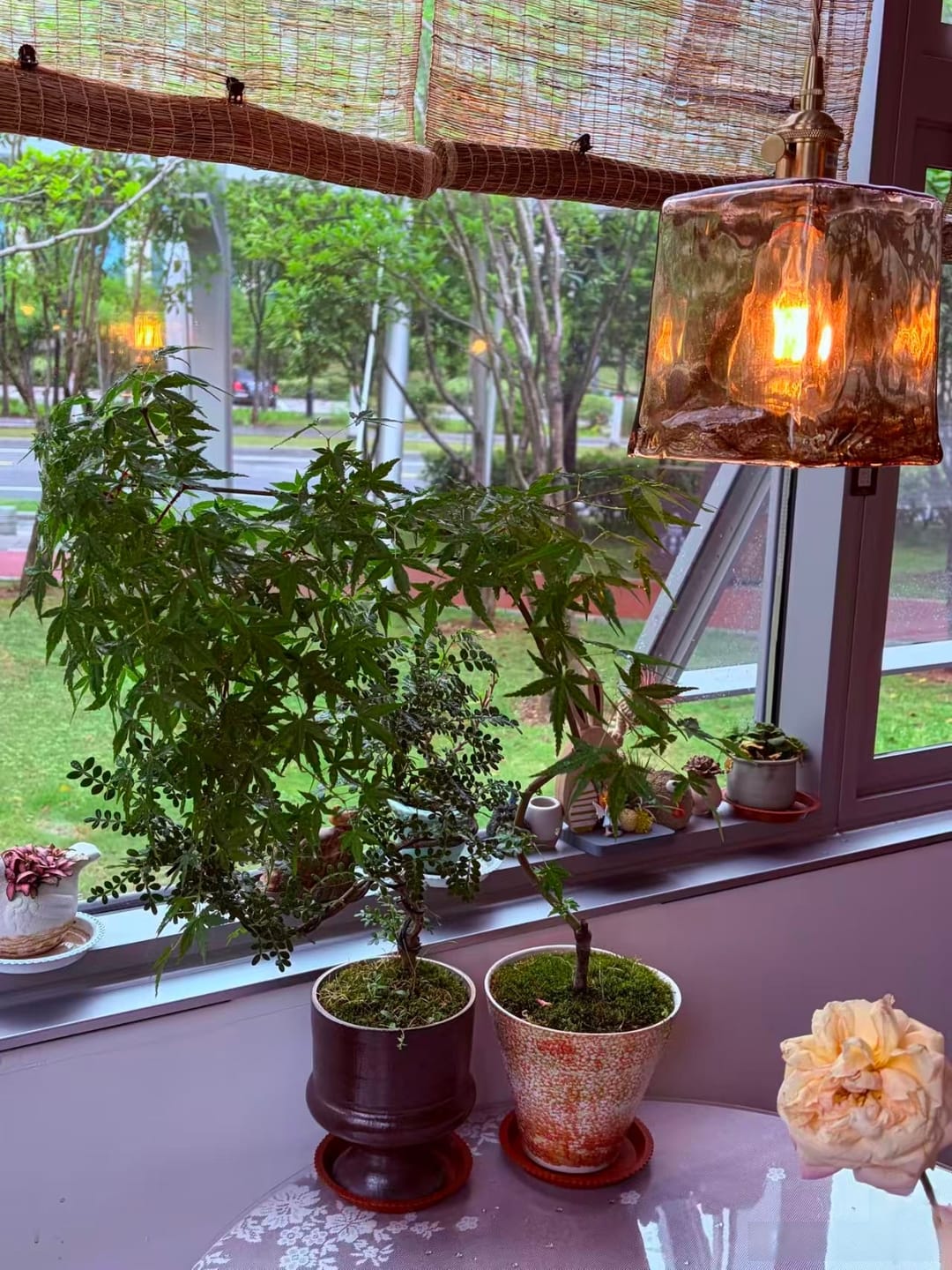 Customer photo review of Classic Starfire Glass Table Pendant Light
