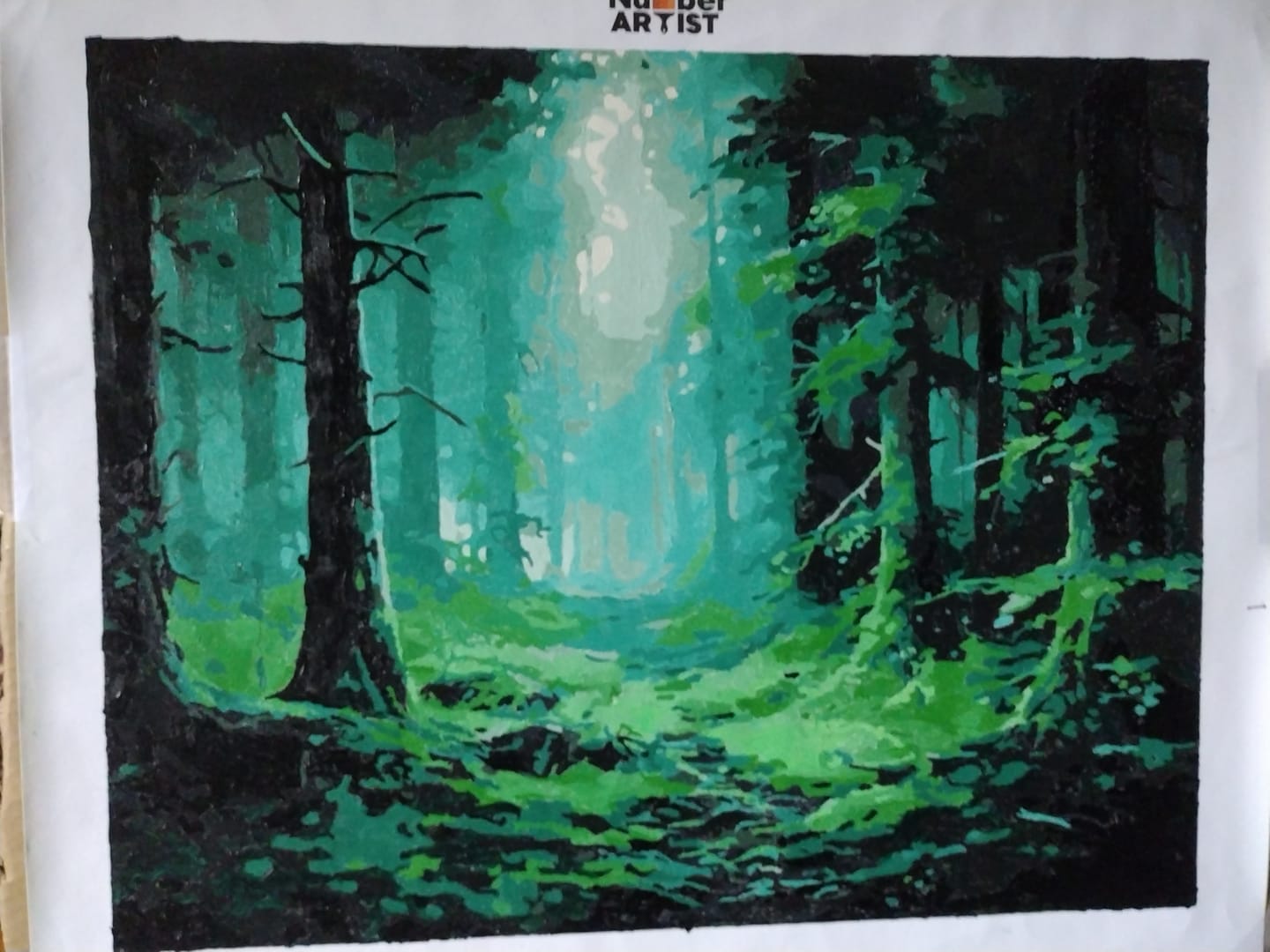 Customer photo review of Misty Forest