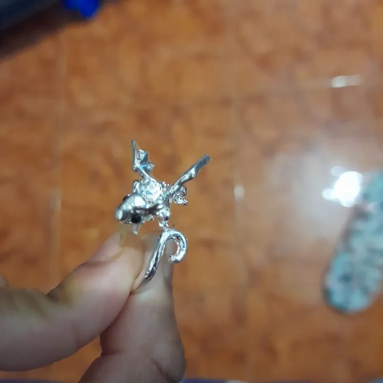Customer photo review of Adjustable Toothless & Light Fury Ring
