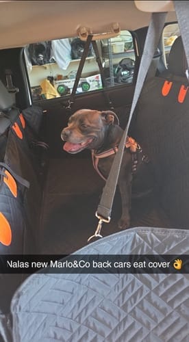 Customer photo review of Marlo&Co™ Adventure Bundle