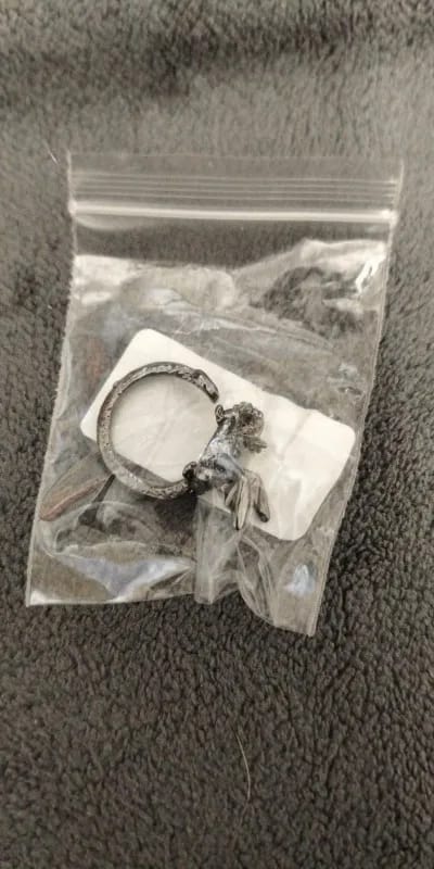Customer photo review of Adjustable Toothless & Light Fury Ring