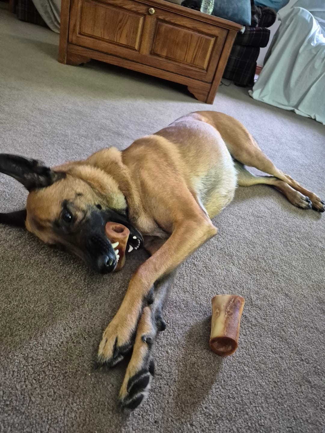 Customer photo review of Smoked Beef Marrow Bones — Stuffed Edition (Limited Time)