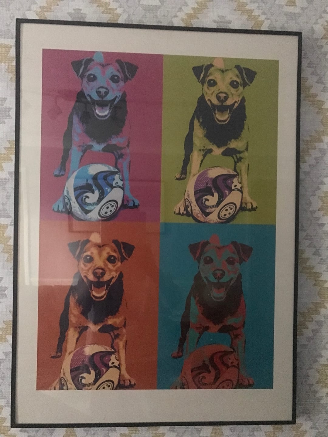 Customer photo review of Personalised Poster With Dog or Cat - Colour Squares