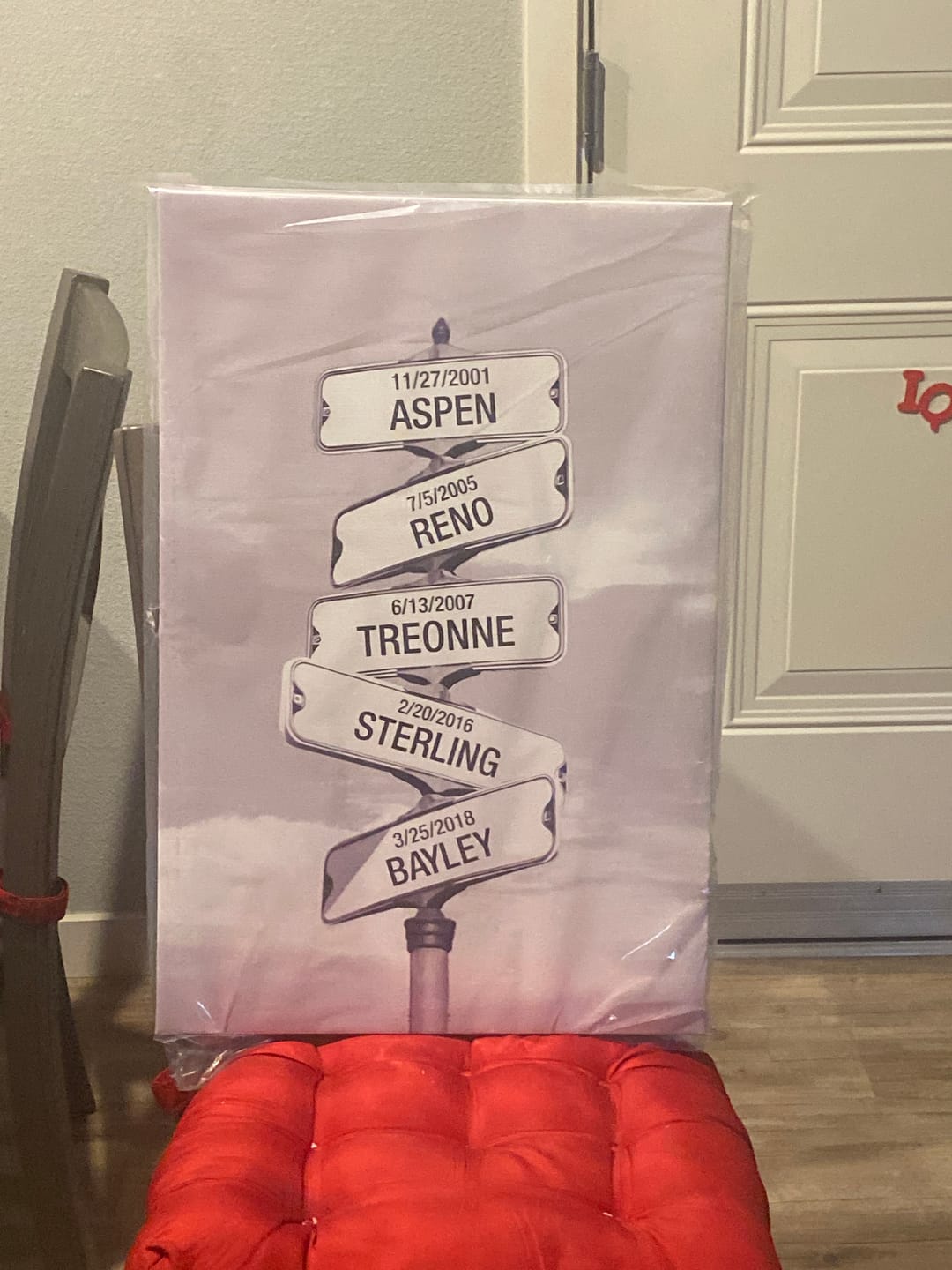 Customer photo review of My Street Sign Custom Children Names Personalized Canvas Print