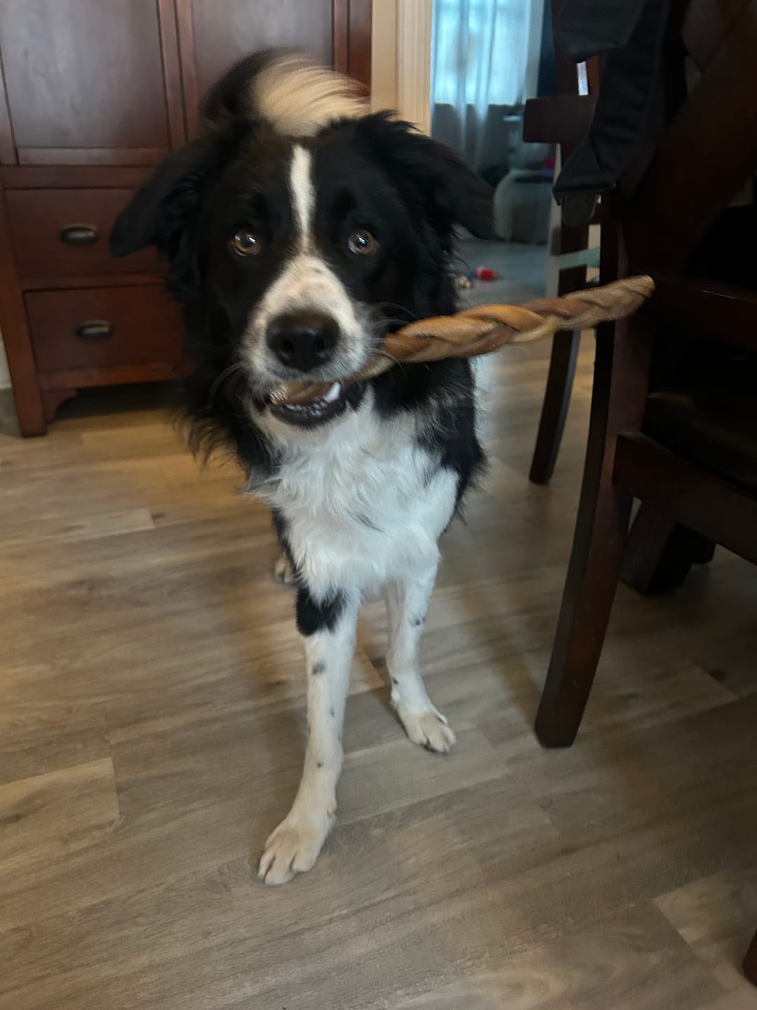 Customer photo review of Trail Mix