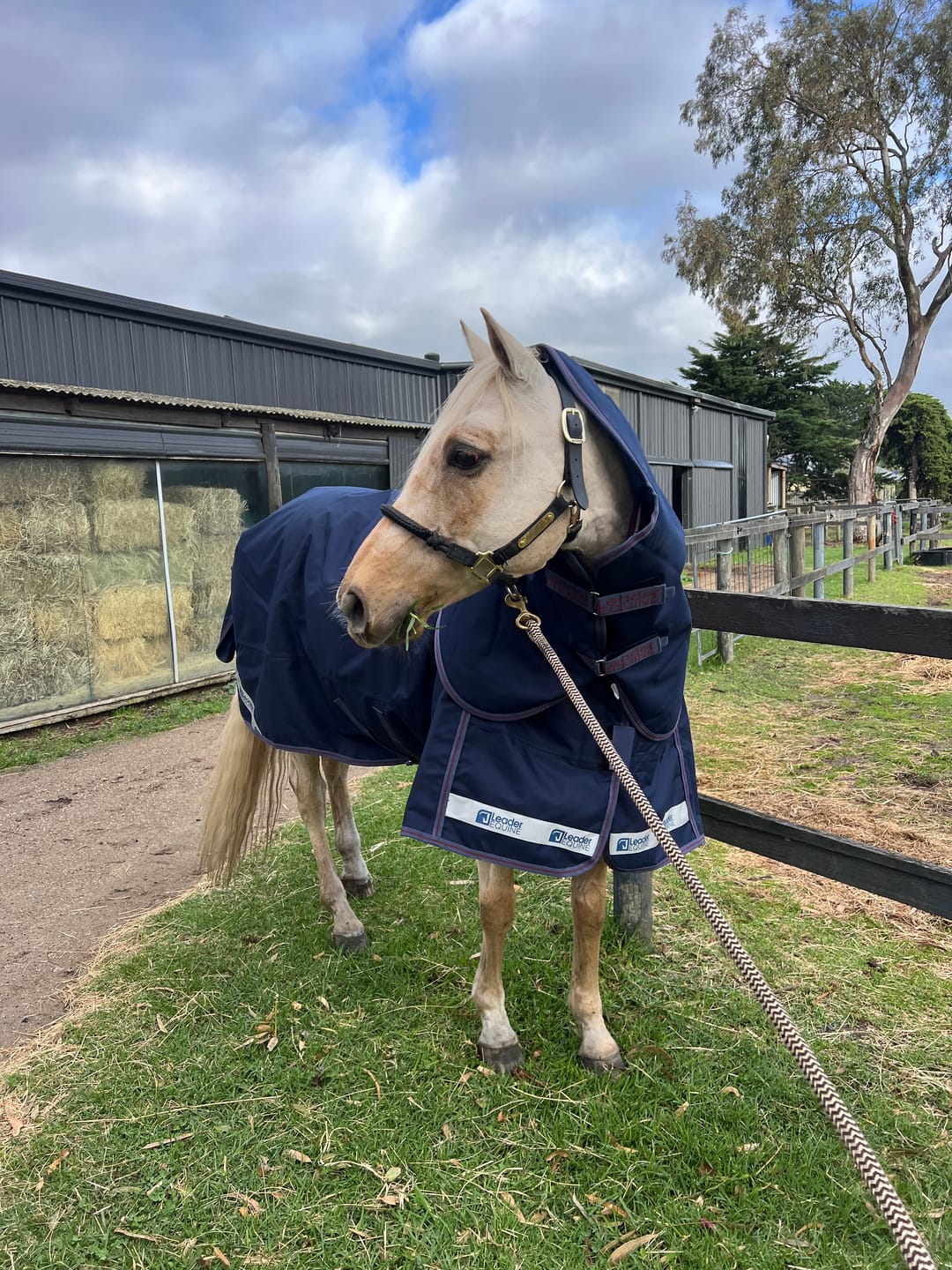Customer photo review of LE Boxter Turnout Ripstop 200g