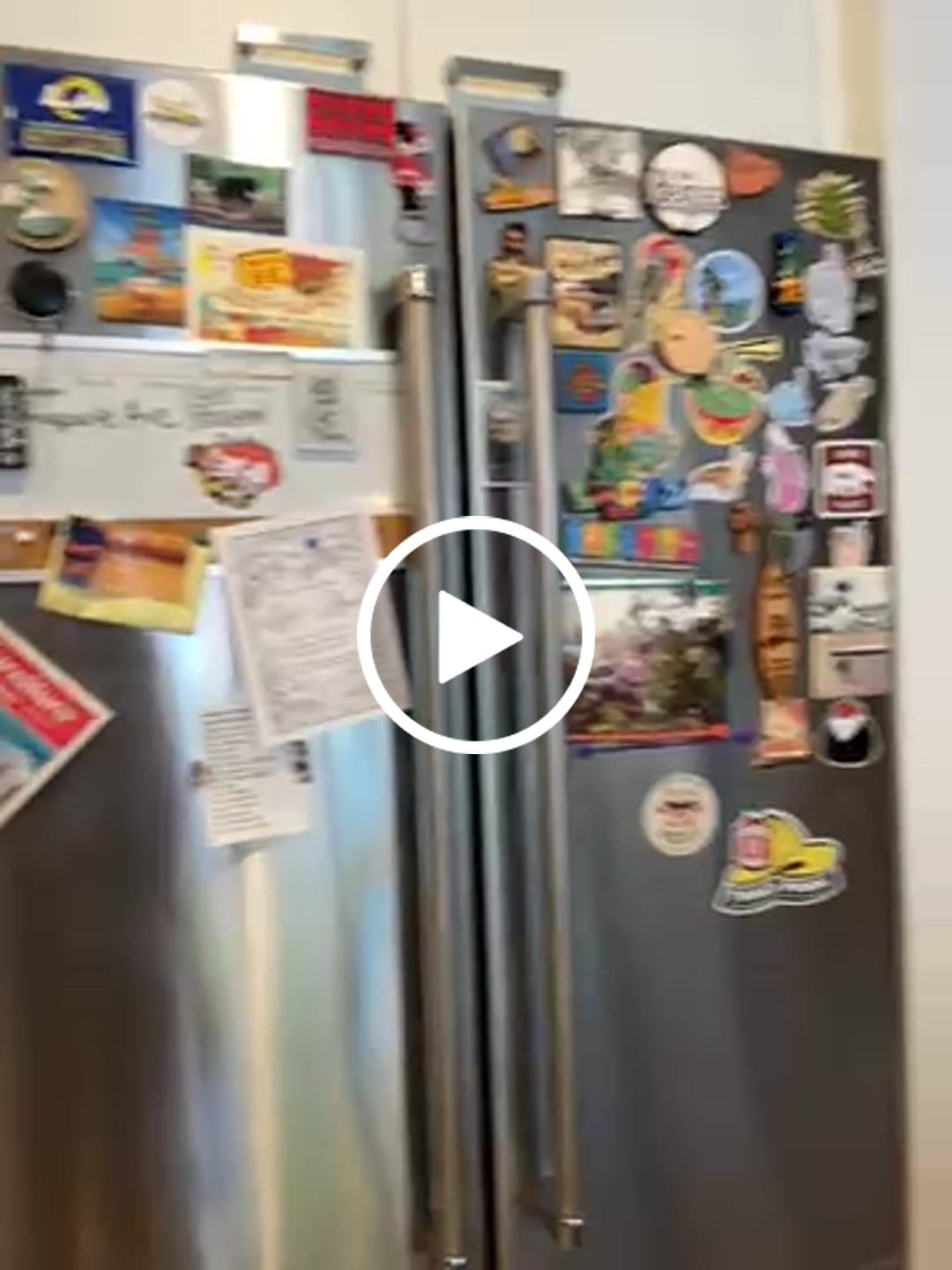 Customer video review of Let's Stay Home Cat Sticker