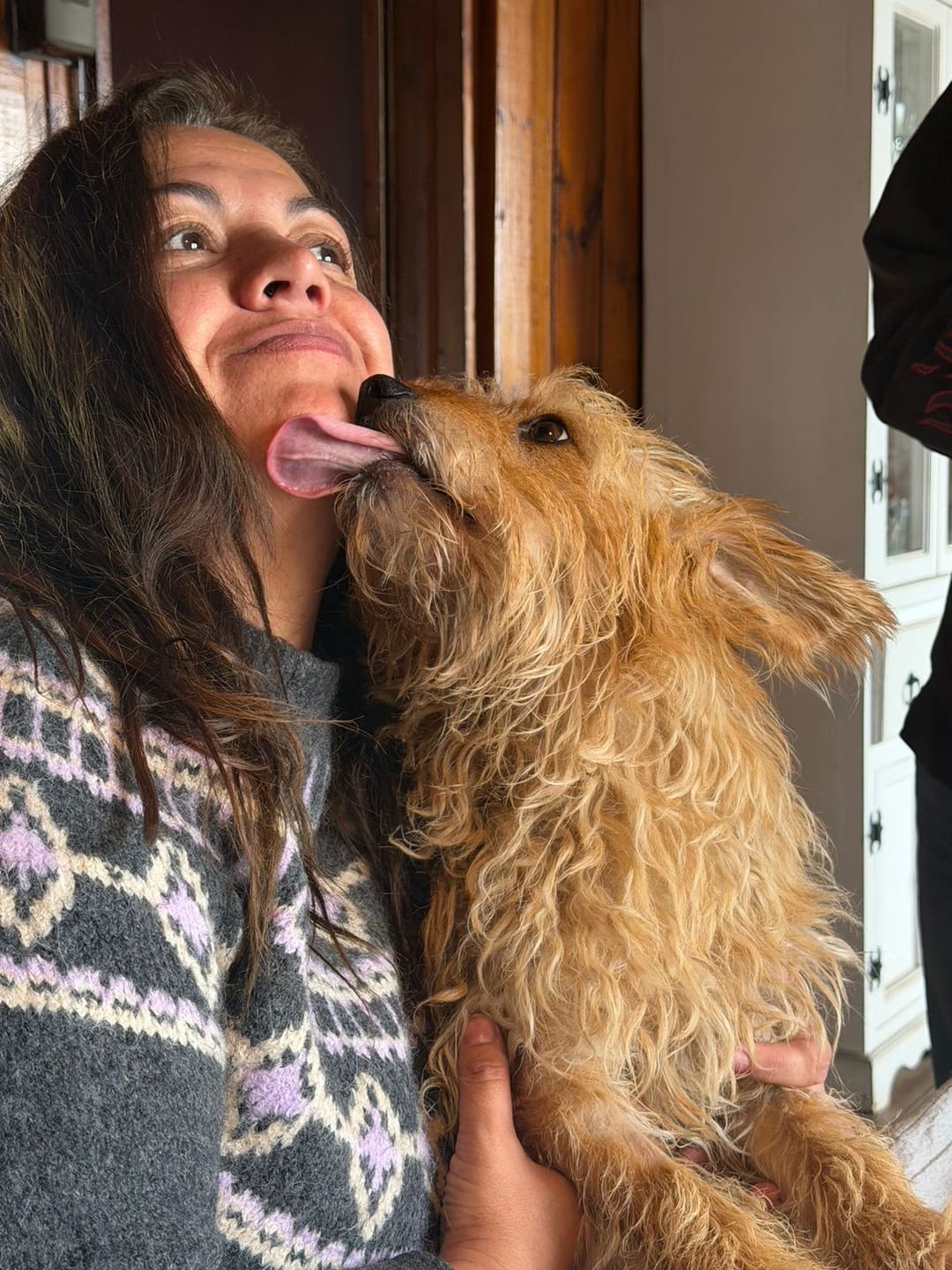 Customer photo review of PetFamily Foods Razas Pequeñas