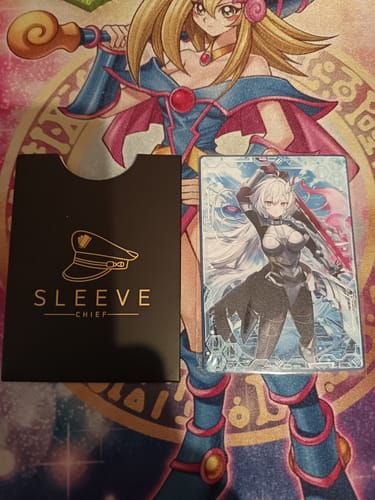 Customer photo review of Sky Strikers Zero - Metal Field Center