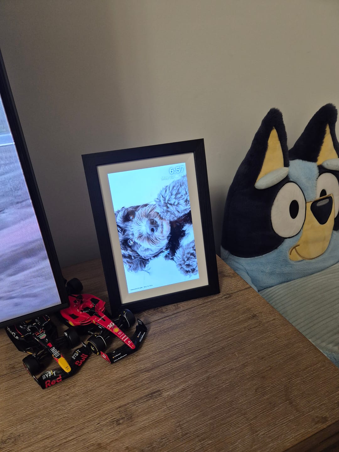 Customer photo review of Digital Photo Frame