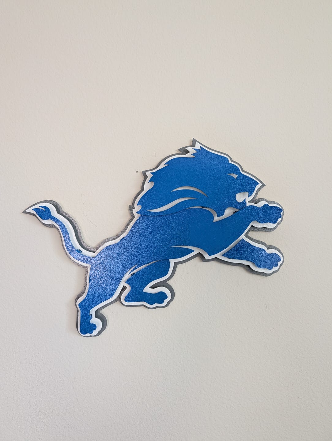 Customer photo review of Detroit Lions 3D Vintage Metal Wall Art