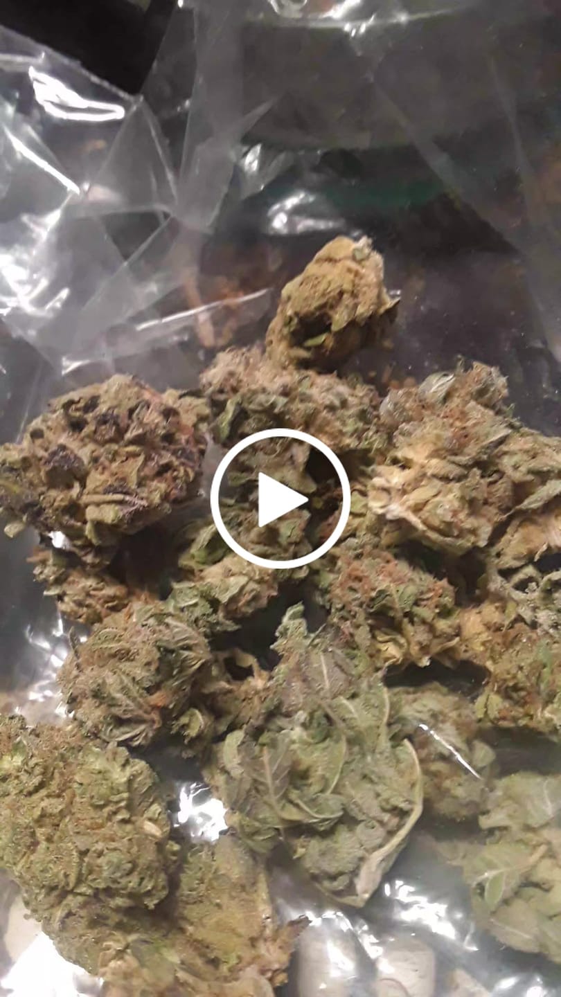 Customer video review of Boutique Exotics  Coffin Candy - Bulk - Hybrid