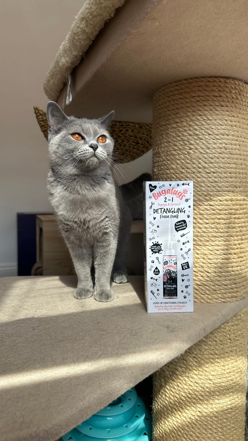 Customer photo review of Papaya & Coconut 2-in-1 Detangling Foam Comb for Dogs & Cats