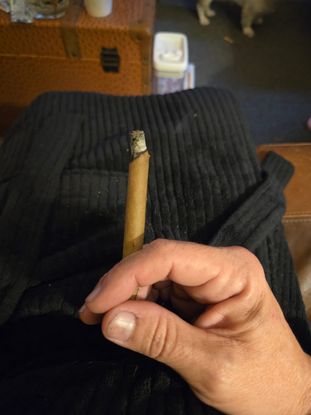 Customer photo review of Blue Dream - 28 Grams - Sativa