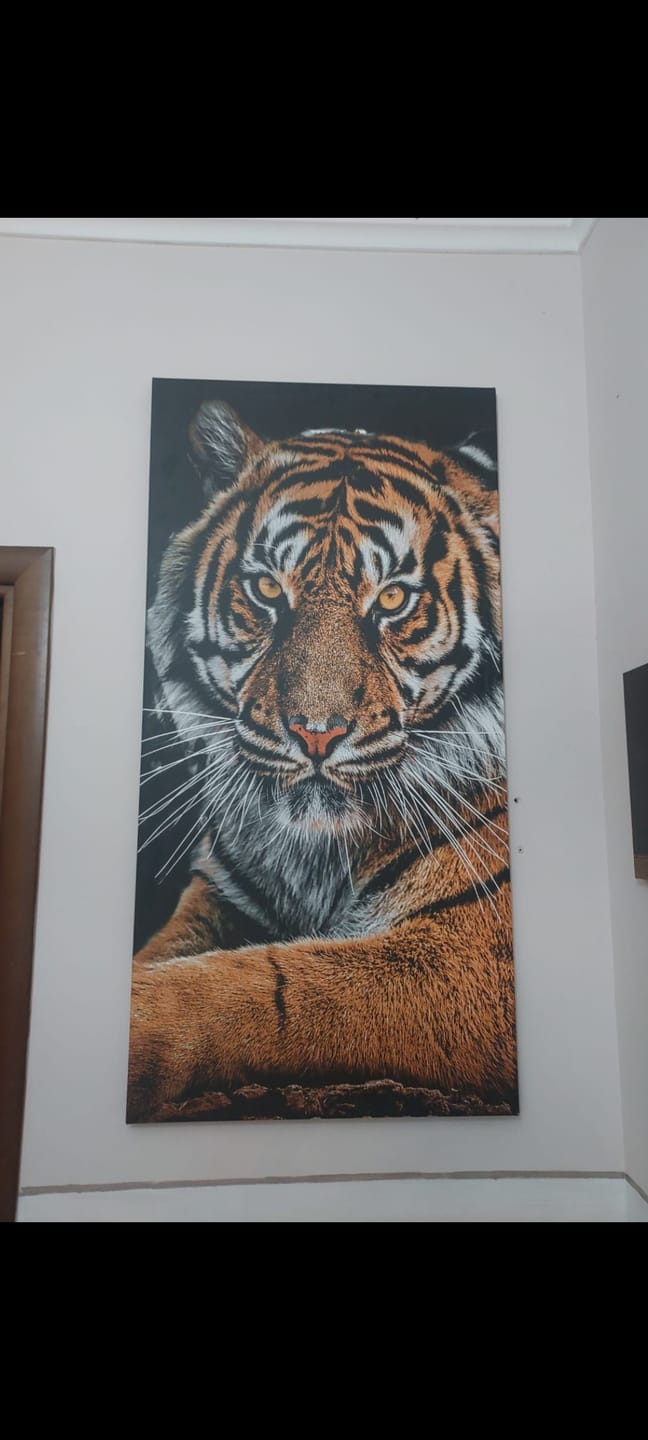 Customer photo review of La Tigre