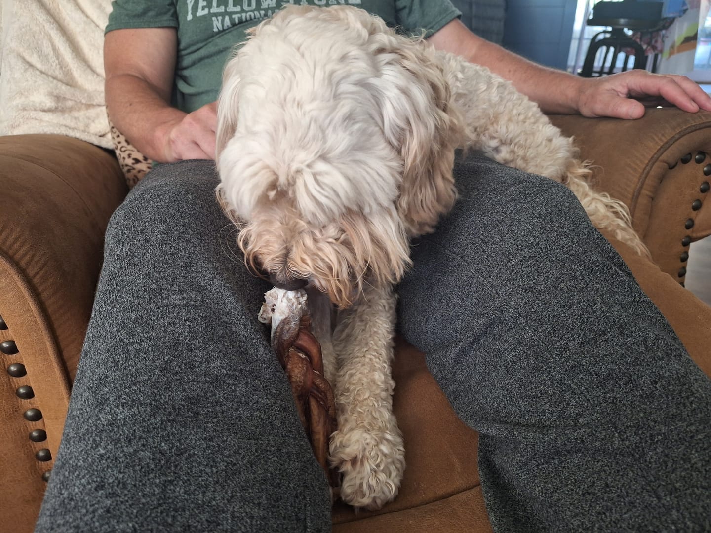Customer photo review of 6 Inch Braided Bully Sticks