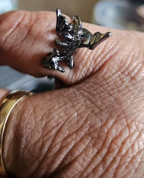 Customer photo review of Adjustable Toothless & Light Fury Ring