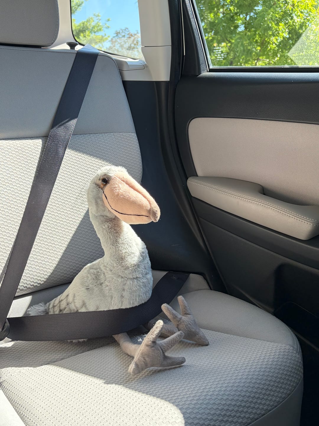 Customer photo review of Shoebill Stork Bird Soft Stuffed Plush Toy