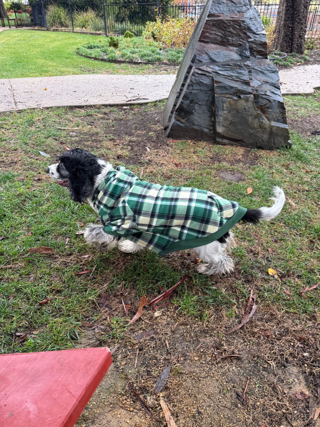 Customer photo review of Green Plaid Dog Hoodie