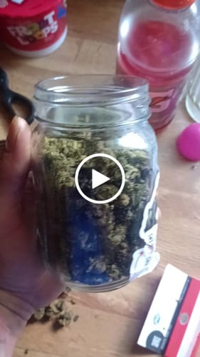Customer video review of Bulk THCA Smalls