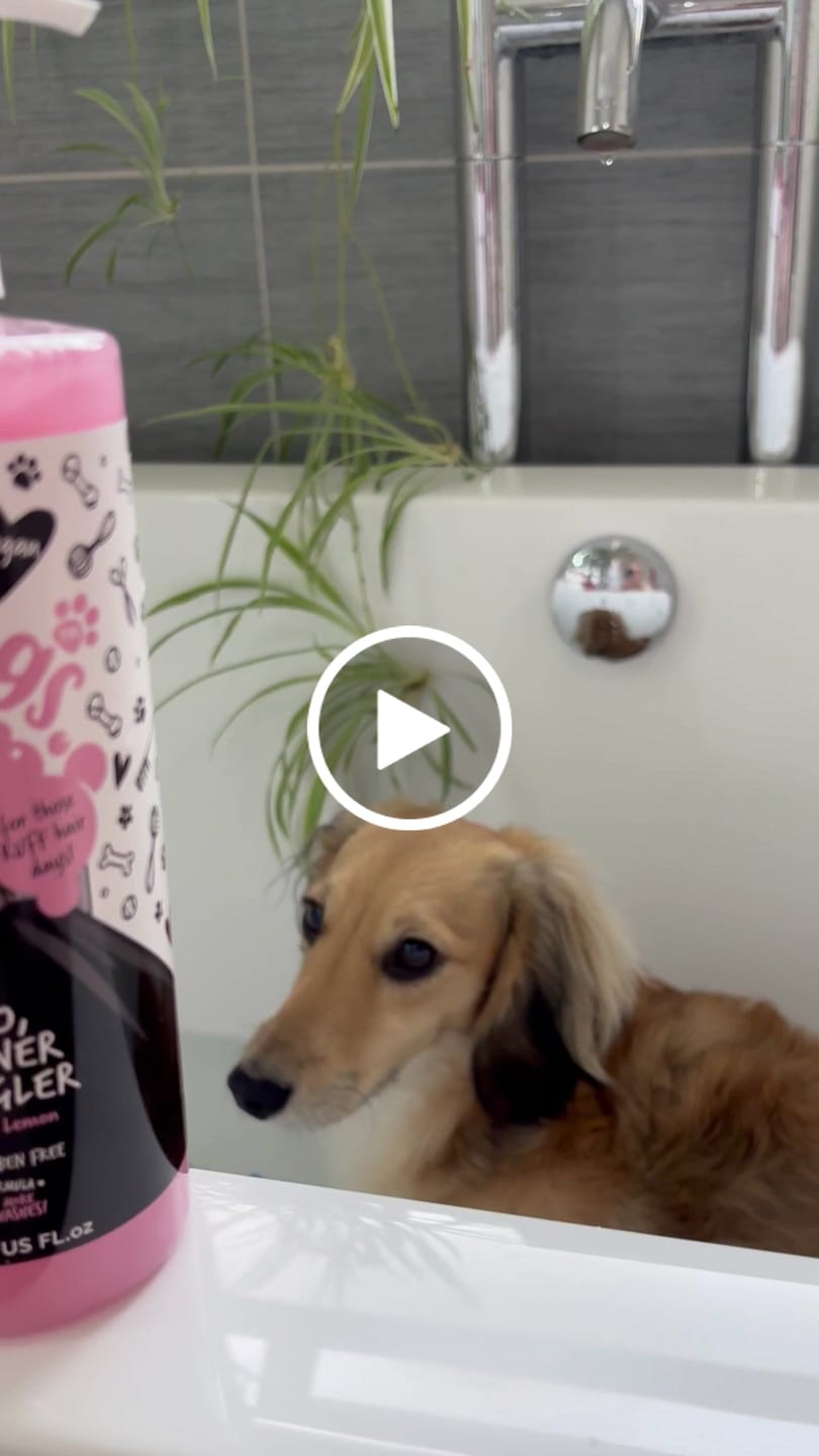 Customer video review of 3-in-1 Raspberry & Lemon Dog Shampoo, Conditioner & Detangler