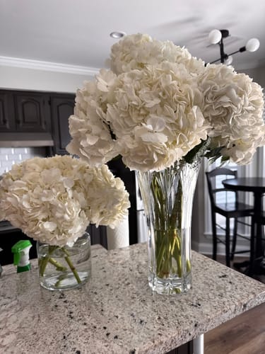 Customer photo review of Regular Hydrangea | Natural White
