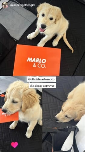 Customer photo review of Marlo&Co™ Adventure Bundle
