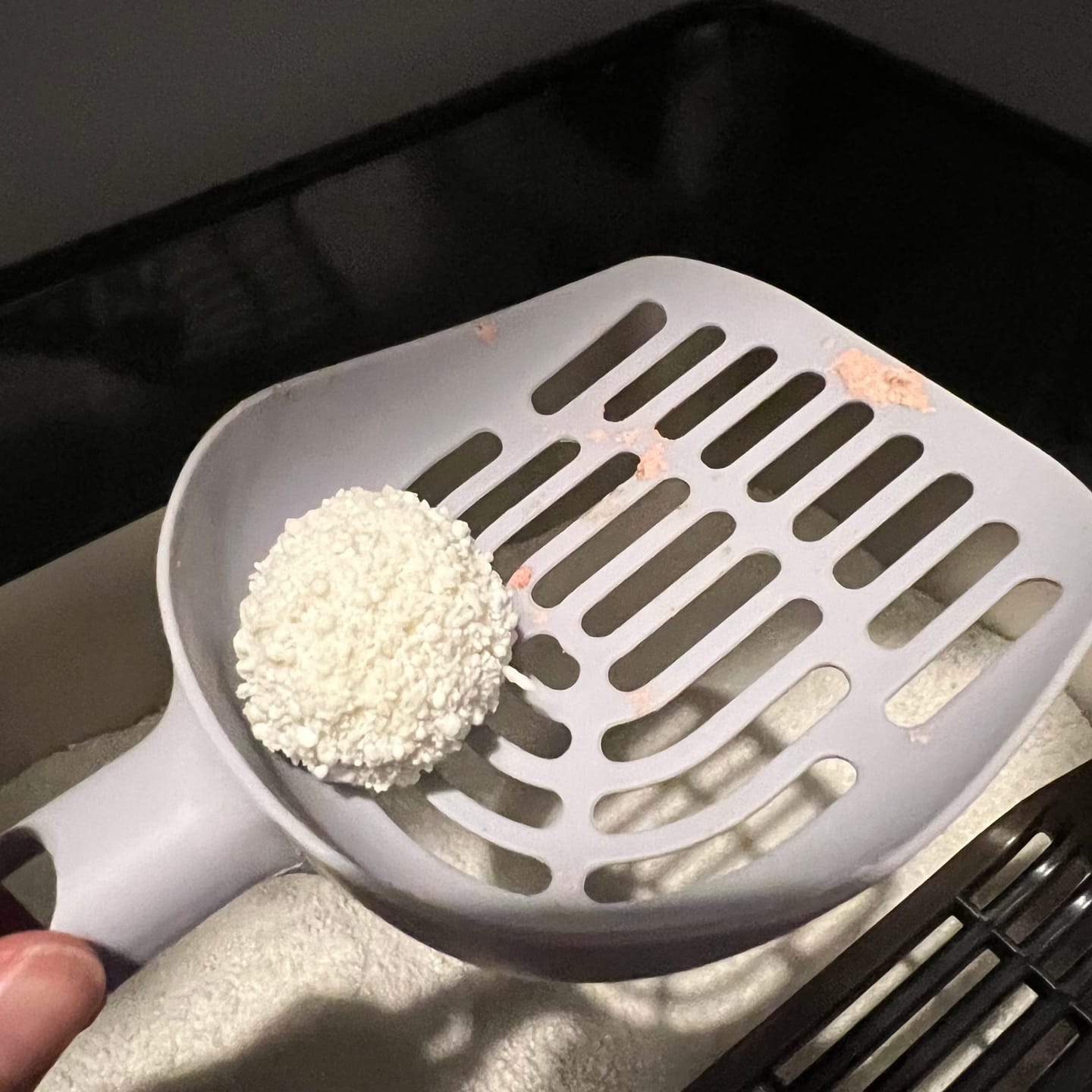 Customer photo review of Michu Wonder Litter - Plant-Based & Automatic-Box Friendly 2.5kg/6L