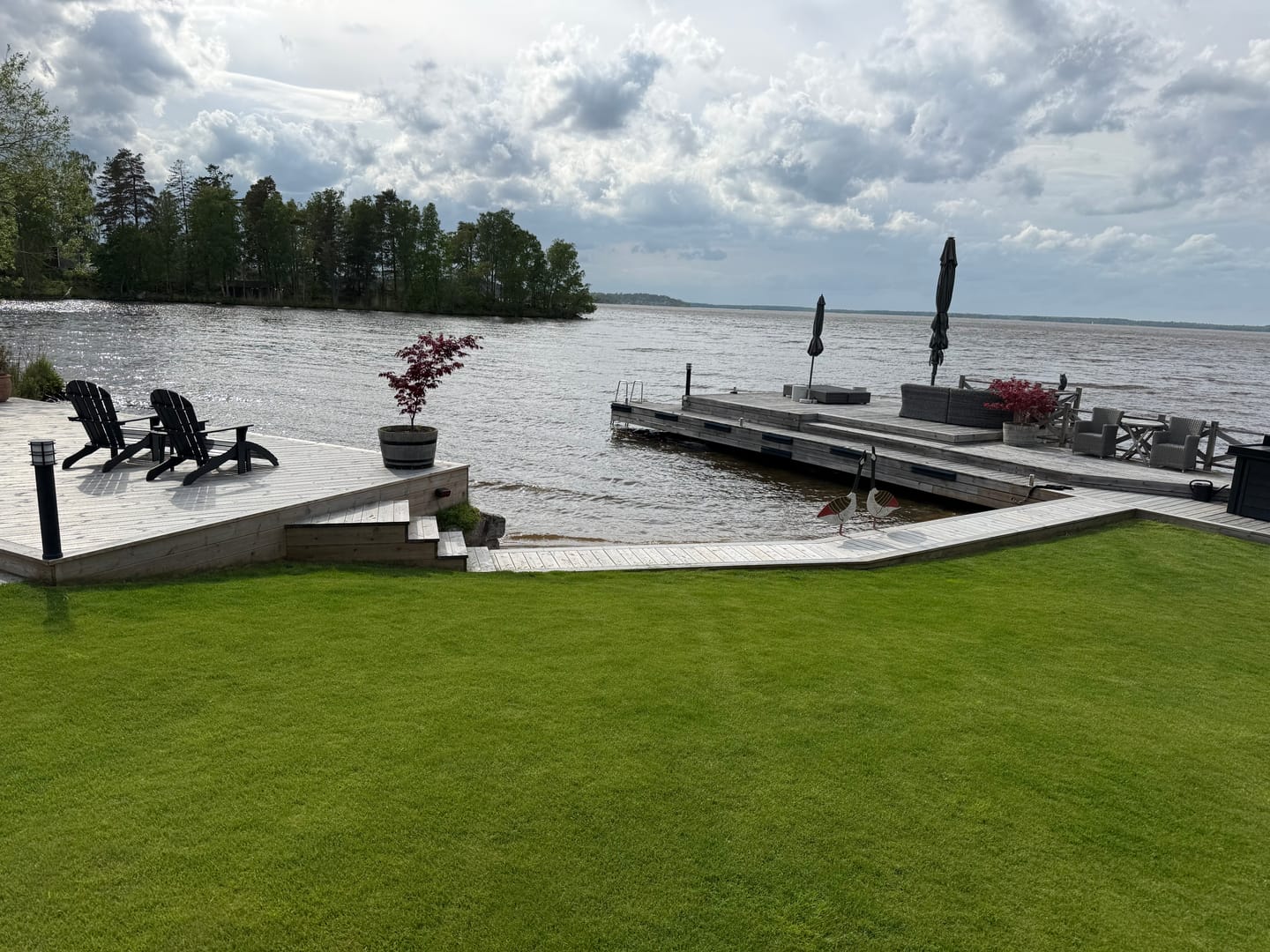 Customer photo review of ViltVaktern™ – Skydda Din Trädgård Från Vildsvin & Rådjur