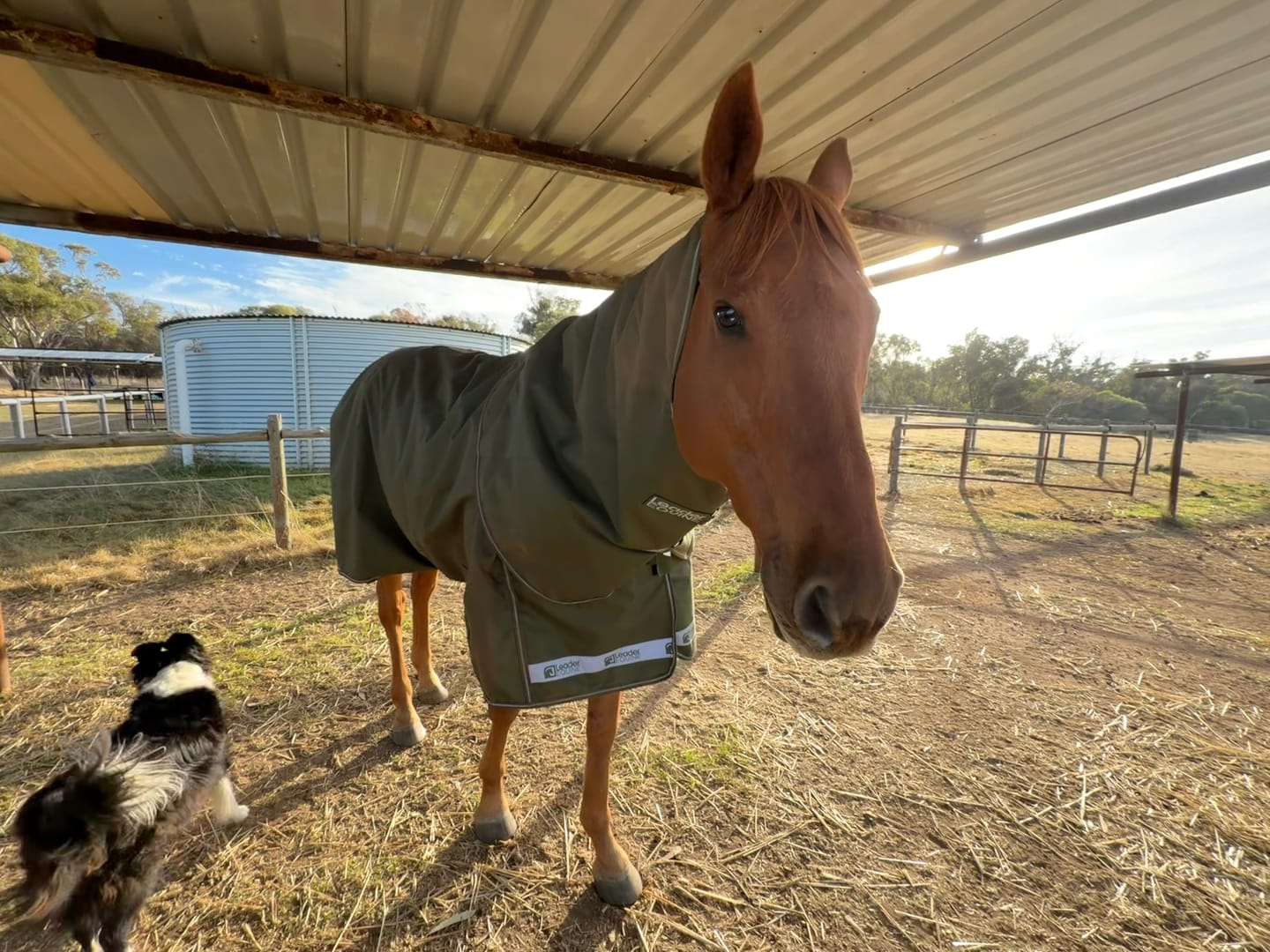 Customer photo review of LE Boxter Turnout 100g