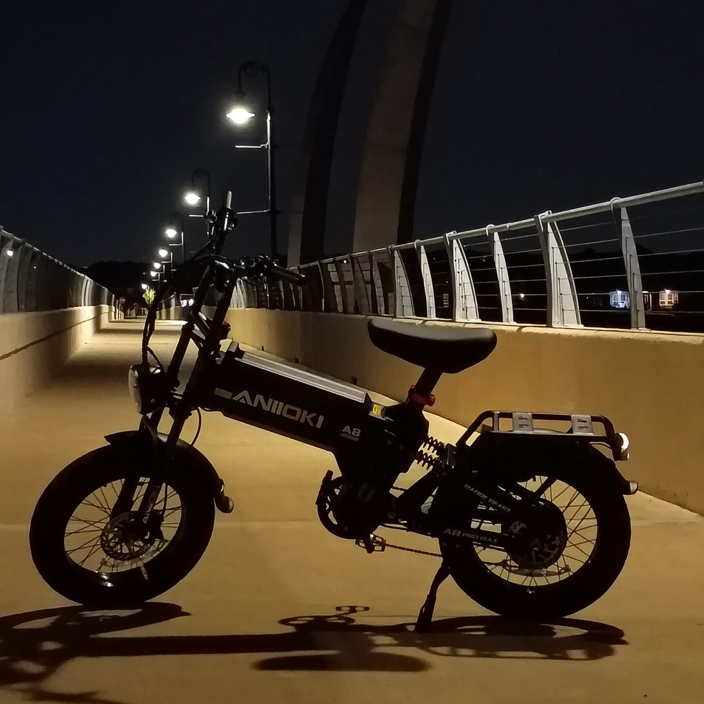 Customer photo review of A8 Pro Max eBike(2026)