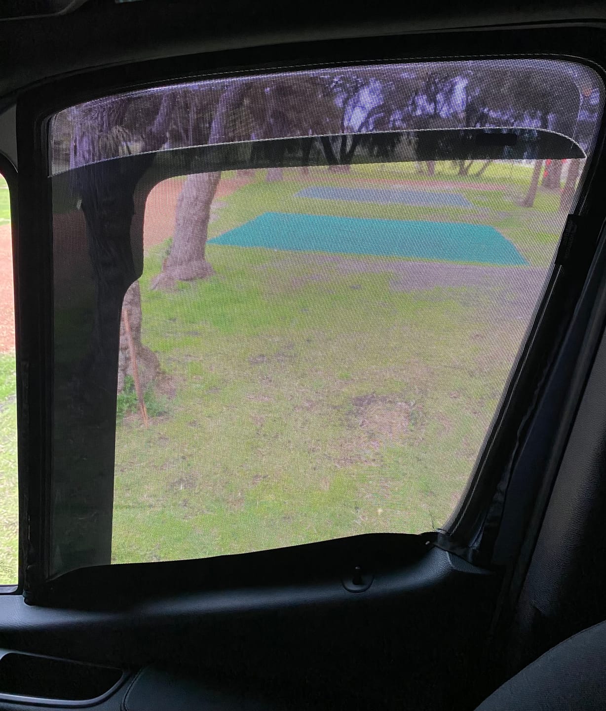 Customer photo review of Sprinter 2019+ - Front Door Mosquito Net (set)