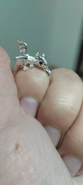 Customer photo review of Adjustable Toothless & Light Fury Ring