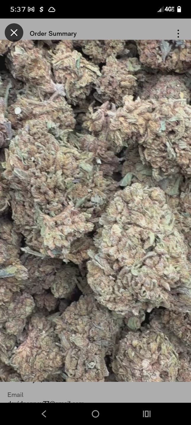 Customer photo review of Blueberry Muffins Littles - Bulk Littles - Indica