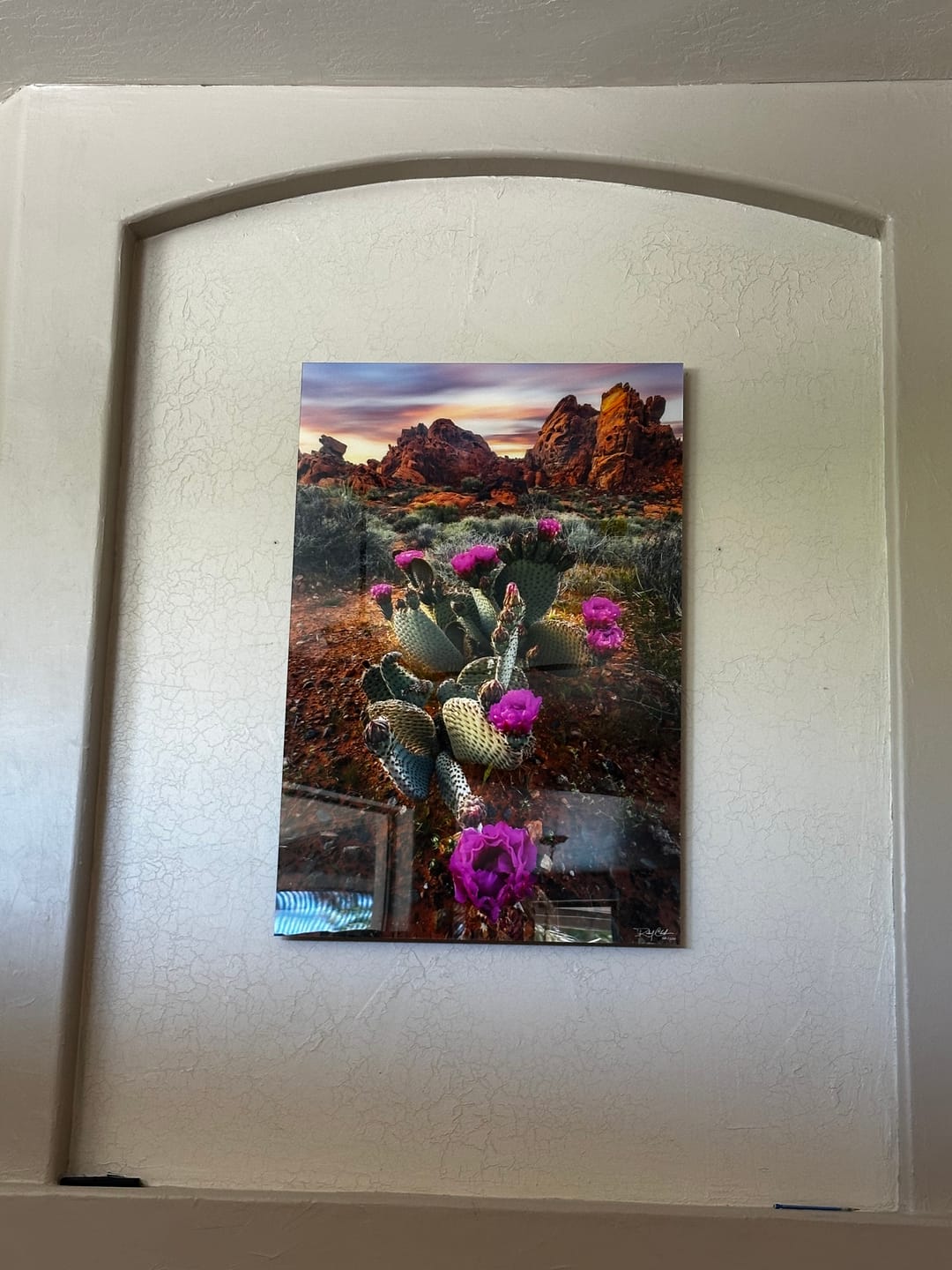 Customer photo review of Desert Blumes